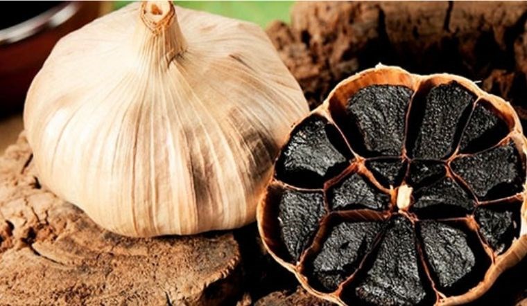 Tỏi đen – Bí quyết vàng giúp tăng cường miễn dịch, khỏe từ bên trong