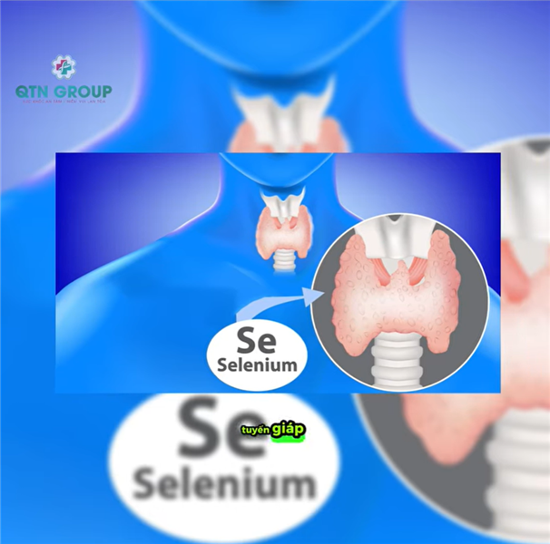 Nạp đủ selen mỗi ngày, tuyến giáp khỏe mạnh, ít phải đến gặp bác sĩ