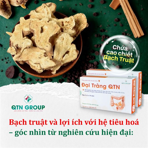 Bạch truật: Thuốc quý cho người bị bệnh đại tràng, rối loạn tiêu hóa