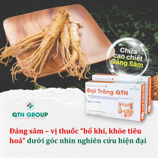 Đảng sâm: Vị thuốc bổ tiêu hóa, bổ khí dưới góc nhìn y học hiện đại