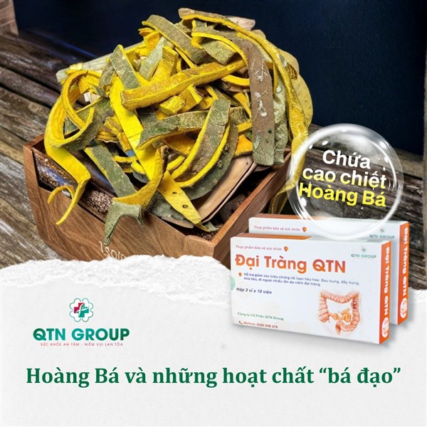 Hoàng bá và những hoạt chất "bá đạo"