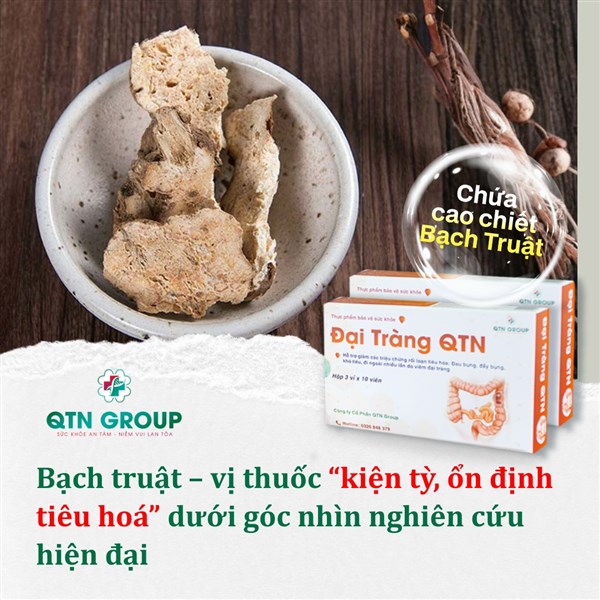 Bạch truật: Vị thuốc kiện tỳ, ổn định tiêu hoá