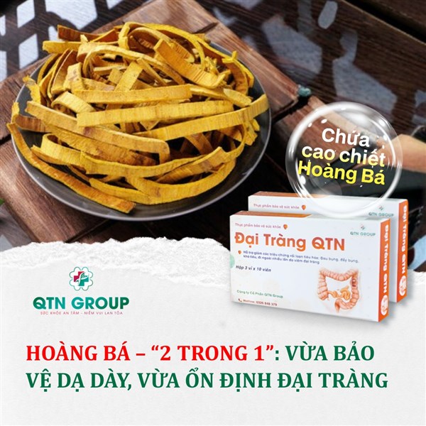 Hoàng bá: Vị thuốc 2 trong 1, vừa ổn định đại tràng vừa tốt cho tiêu hoá